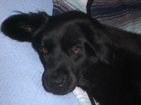 /Images/uploads/Humane Society of Utah/HSUCalendar/entries/869thumb.jpg